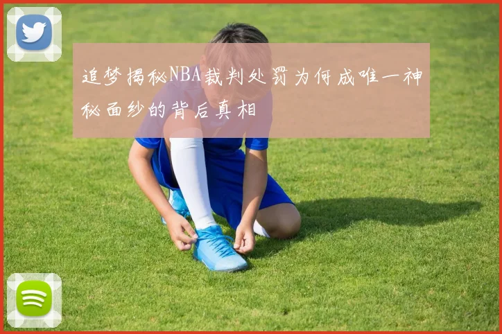 追梦揭秘NBA裁判处罚为何成唯一神秘面纱的背后真相